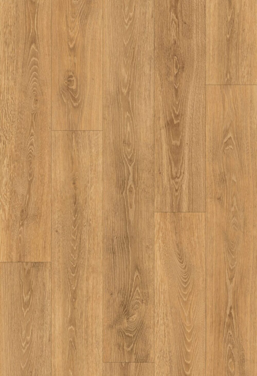 vinilines grindys colorado oak