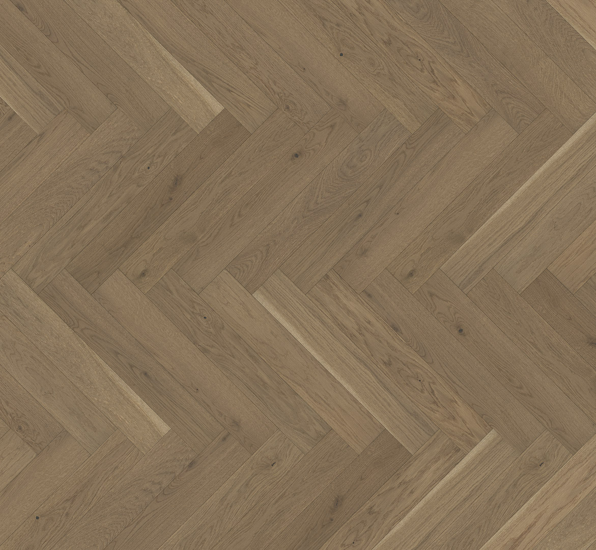 Medinės grindys eglute Parador Oak nougat 1739933