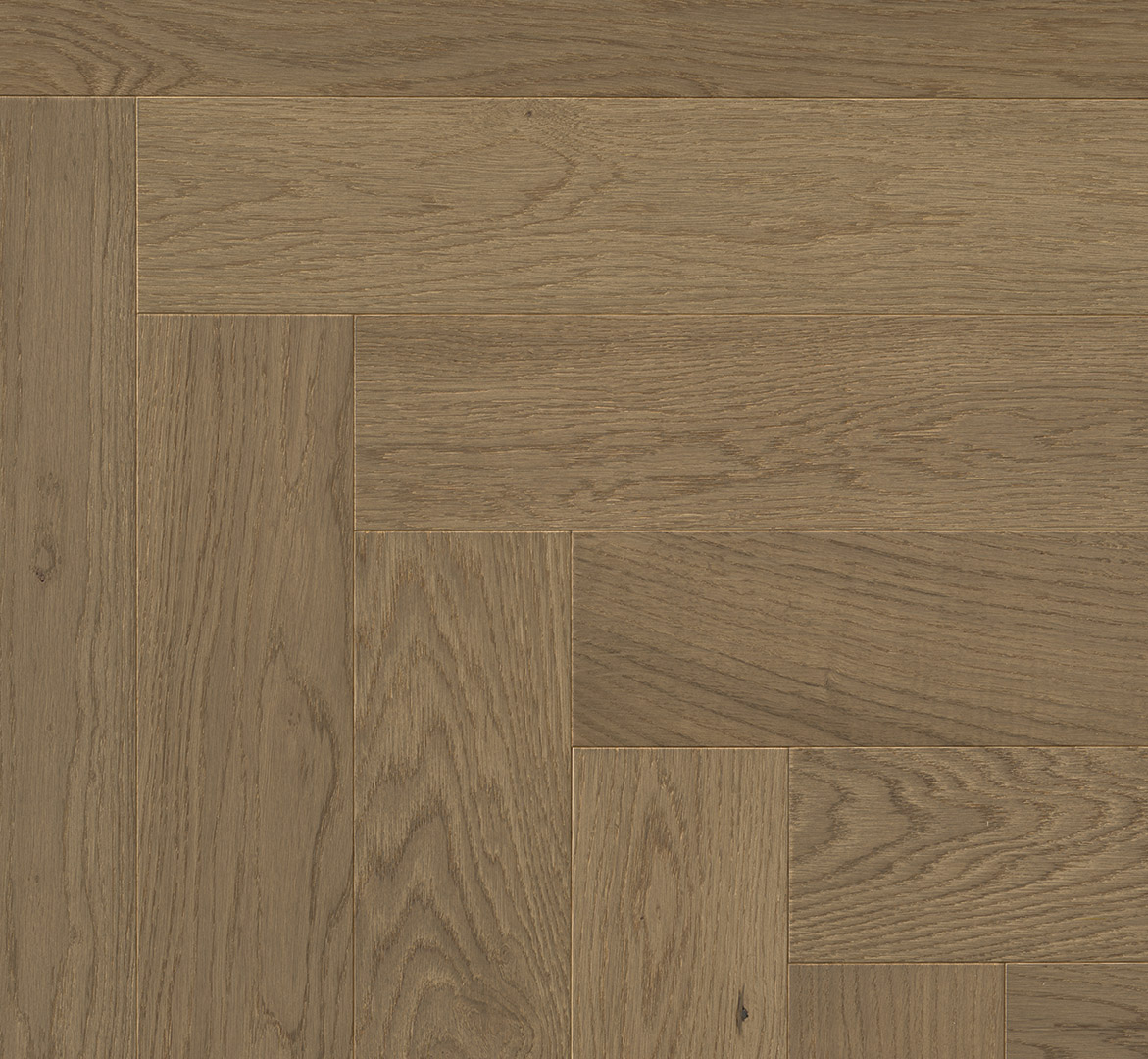 Medinės grindys eglute Parador Oak nougat 1739933