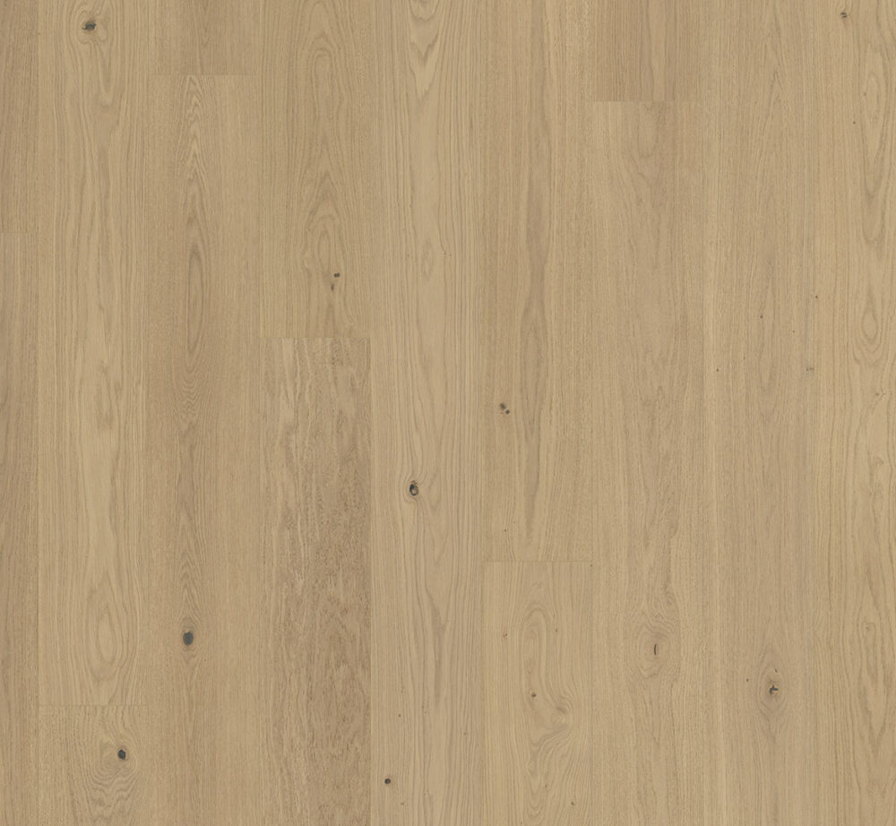 Parketlentė Parador Oak 1744433