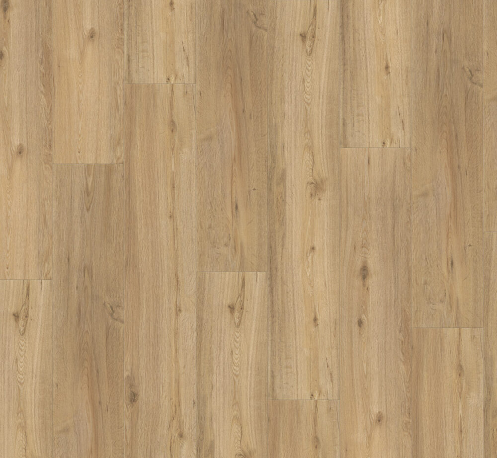Click vinilas Parador Oak natural 1744633