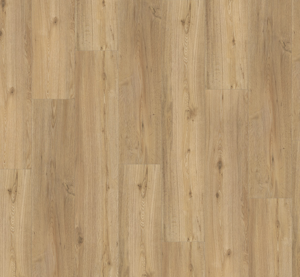 Click vinilas Parador Oak natural 1744633