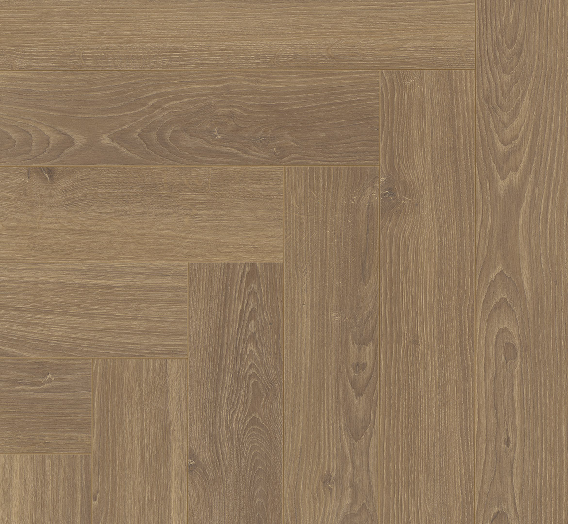 Laminatas eglute Parador Oak Studioline honey 1747864