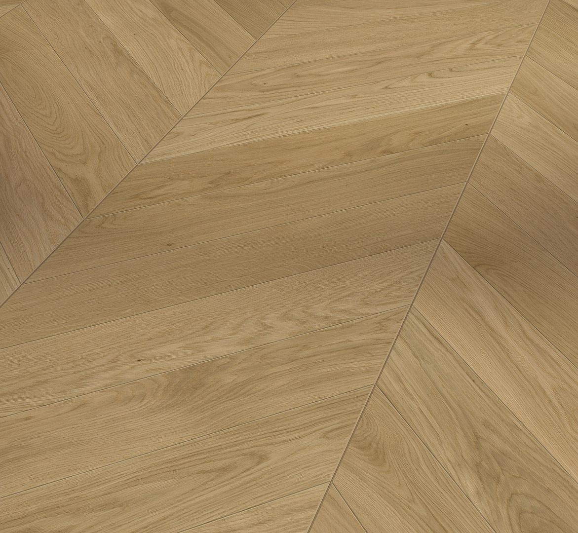Prancūziškos eglutės medinės grindys Parador Chevron Oak Natur 1748484