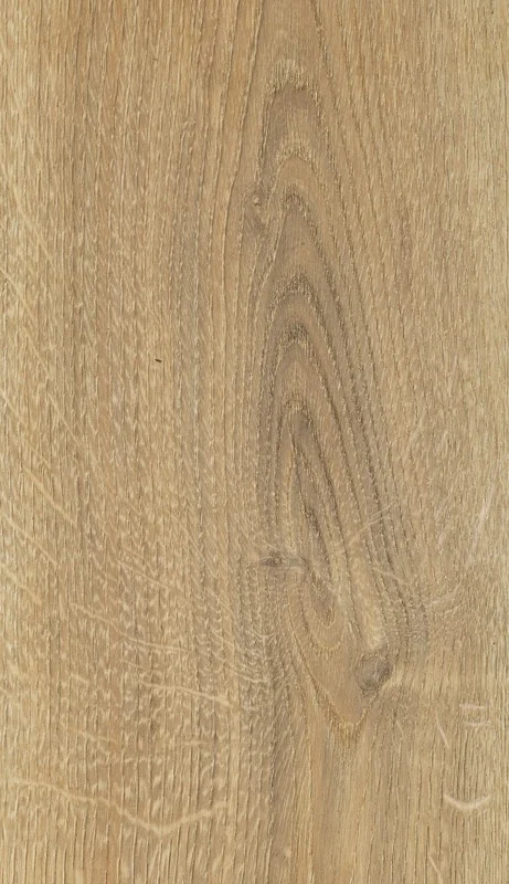 Laminatas Alsaflooring Solid Plus 471 12mm storio