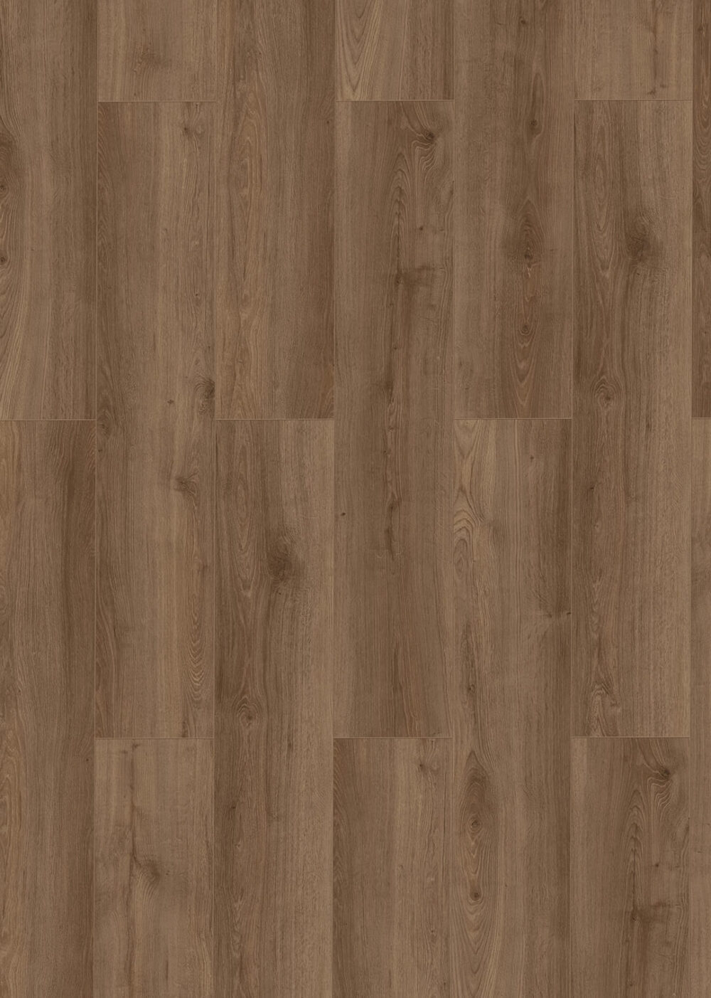 Classen laminatas 62307