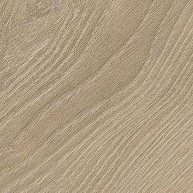 Invictus dryback Divine Oak - Champagne H - Image 3