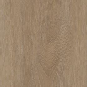Invictus dryback Divine Oak - Cookie - Image 3