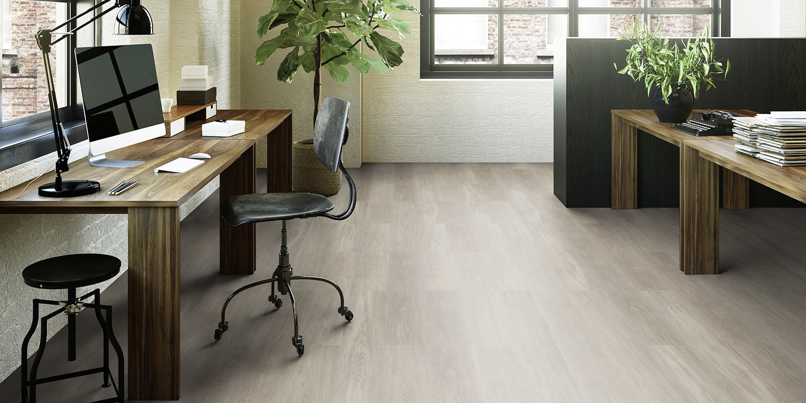 Invictus dryback New England Oak - Misty - Image 3