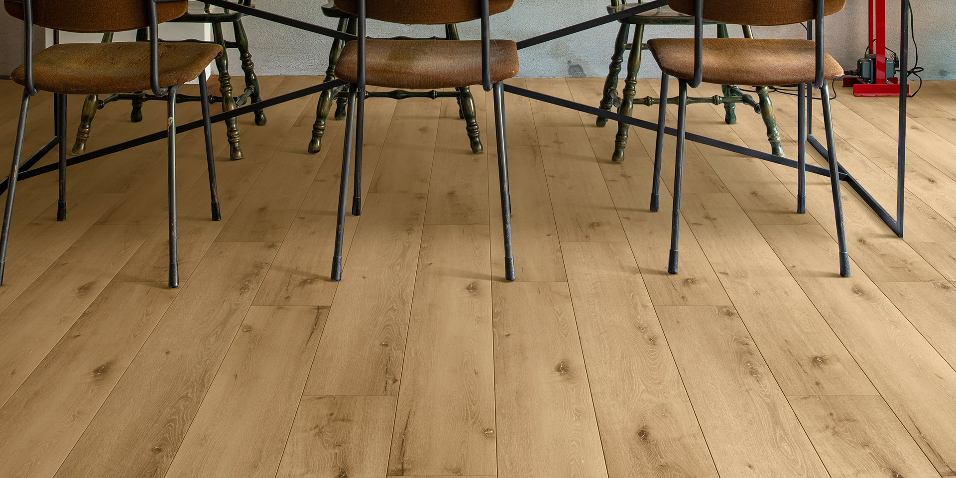Invictus dryback Riverside Oak - Sunshine